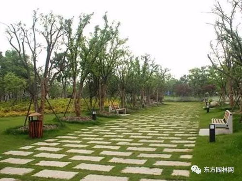 原来园林施工全过程是这样的,看完一次就懂了