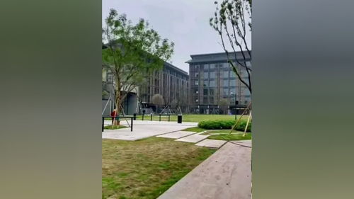 施工现场实拍 绿化工程 园林绿化 绿化苗木 园林景观 园林景观工程