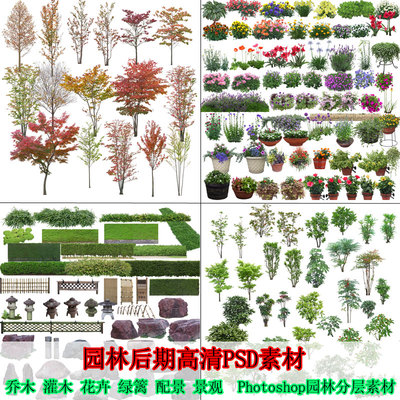 园林景观设计PSD模板树木植物近景乔木花卉绿化效果图PS后期素材
