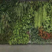 仿真植物发财树价格 仿真植物发财树批发 仿真植物发财树厂家 