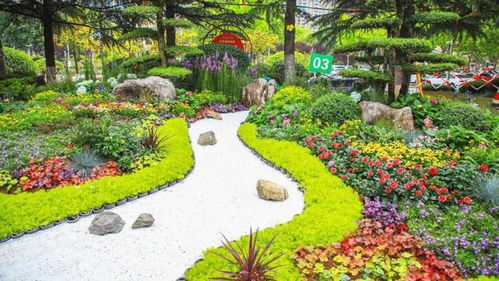 日照市第四届园林绿化行业职业 花艺环境设计师 技能竞赛举办