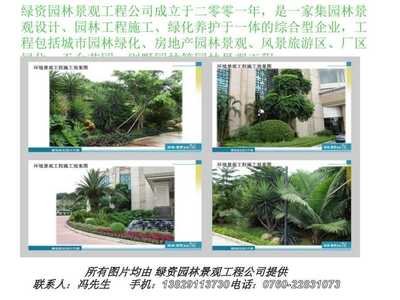绿资景不雅植物绿化景不雅工程:假日酒店_园林景不雅_景不雅设计资料