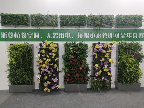 怀化植物墙 中兰林立体 植物墙制作