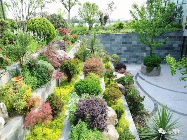 微园林|庭院造景植物设计指南_变化