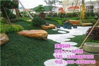 导墅验配眼镜企业生产资质图片/导墅验配眼镜企业生产资质样板图