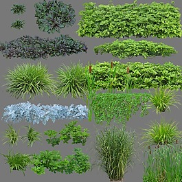 植物角图片_植物角素材_植物角模板免费下载