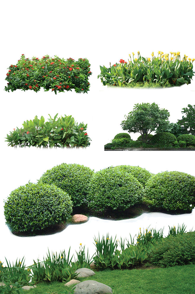 高清园林植物草坪设计素材-众图网