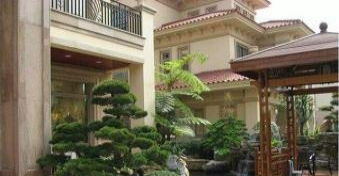 海珠区专业绿化养护,除草砍树种花种草,鱼池假山设计
