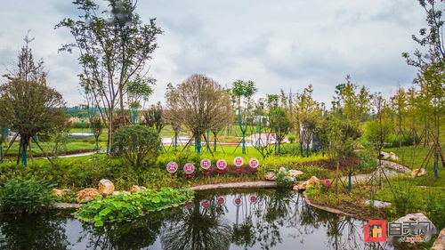 自贡首个下沉式污水处理厂 景观公园内暗藏的 玄机