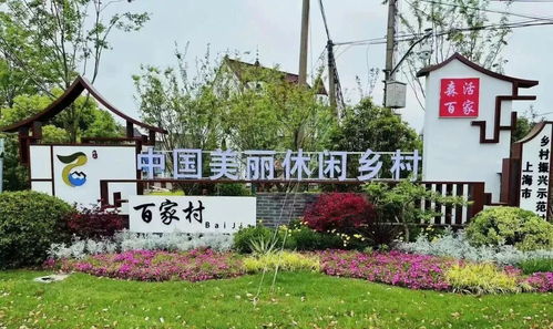 上海一周区情 申城初夏花景绚烂多姿 各区共邀文博盛宴之旅