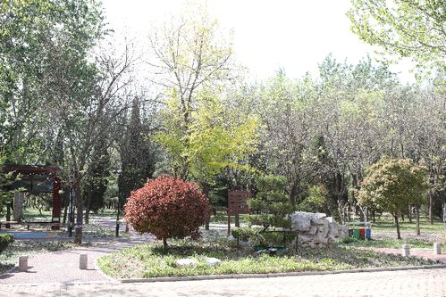 滨州新立河公园 以 绣花功夫 精雕细琢 打造市民满意高品质绿色空间