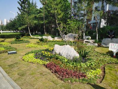 临沂柳青园林环卫管理办公室:道路节点微更新 传递城市大幸福