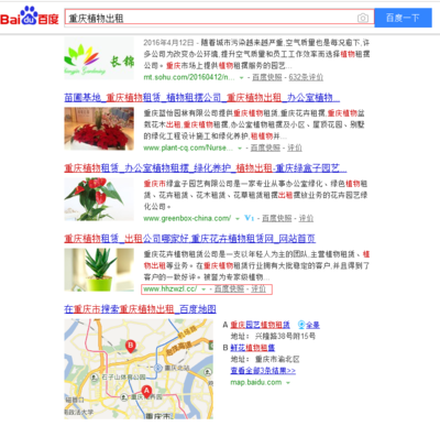 重庆花卉植物租赁公司优化排名