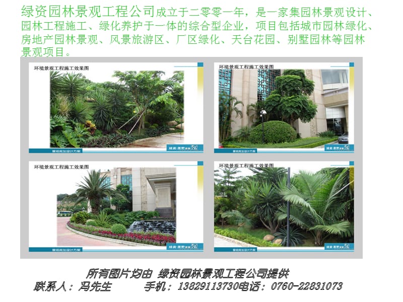 绿资景不雅植物绿化景不雅工程:假日酒店_园林景不雅_景不雅设计资料[最新]