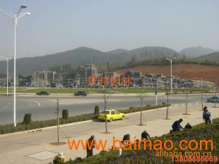 大型塑石假山批发–大型塑石假山厂家–大型塑石假山供应商