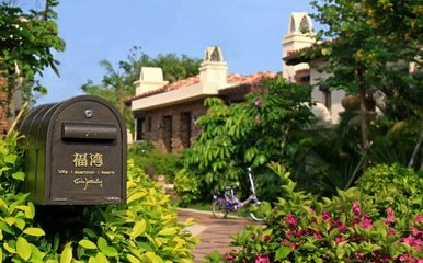 绿化工程设计公司 专业小区工厂园林修剪养护施工 苗木销售