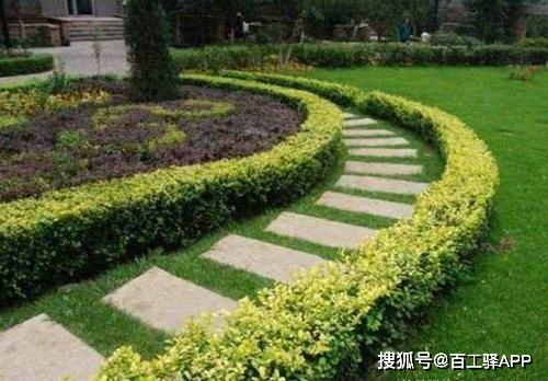 必备干货丨园林绿化给排水设计