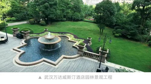岭南股份在华中