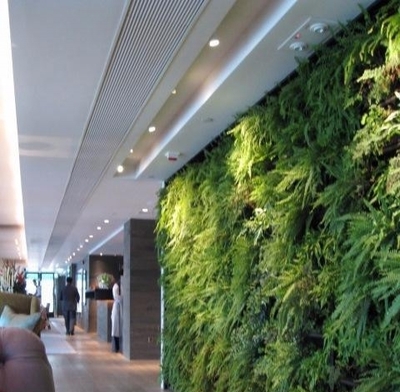 重庆植物墙 重庆仿真植物墙 垂直绿化 重庆植物绿墙