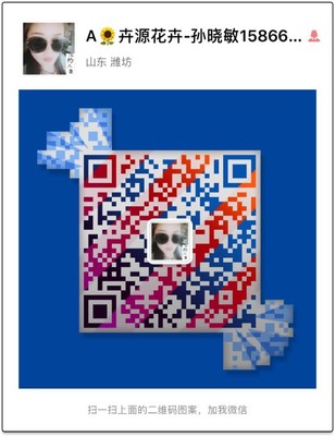 宿根花卉马鞭草与芝樱花价格及园林绿化工程——晓敏花卉服务解析