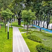 2016年度杭州市优秀园林绿化工程金奖 新塘路综合整治工程景观绿化